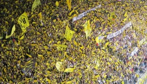 bvb